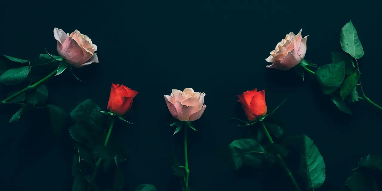 UK Police Warn of Rapid Romance Scam Surge Ahead of Valentine's Day