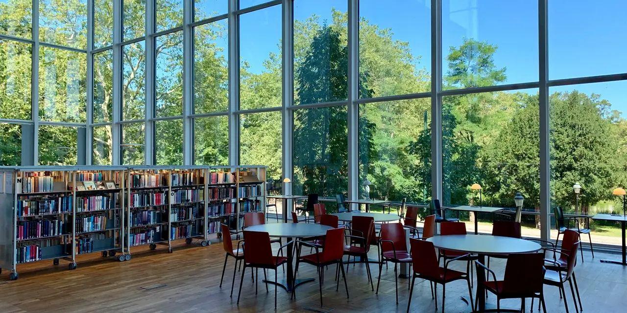 Hiring in the Age of AI: The Global Threat of Fake Degrees and Deepfakes