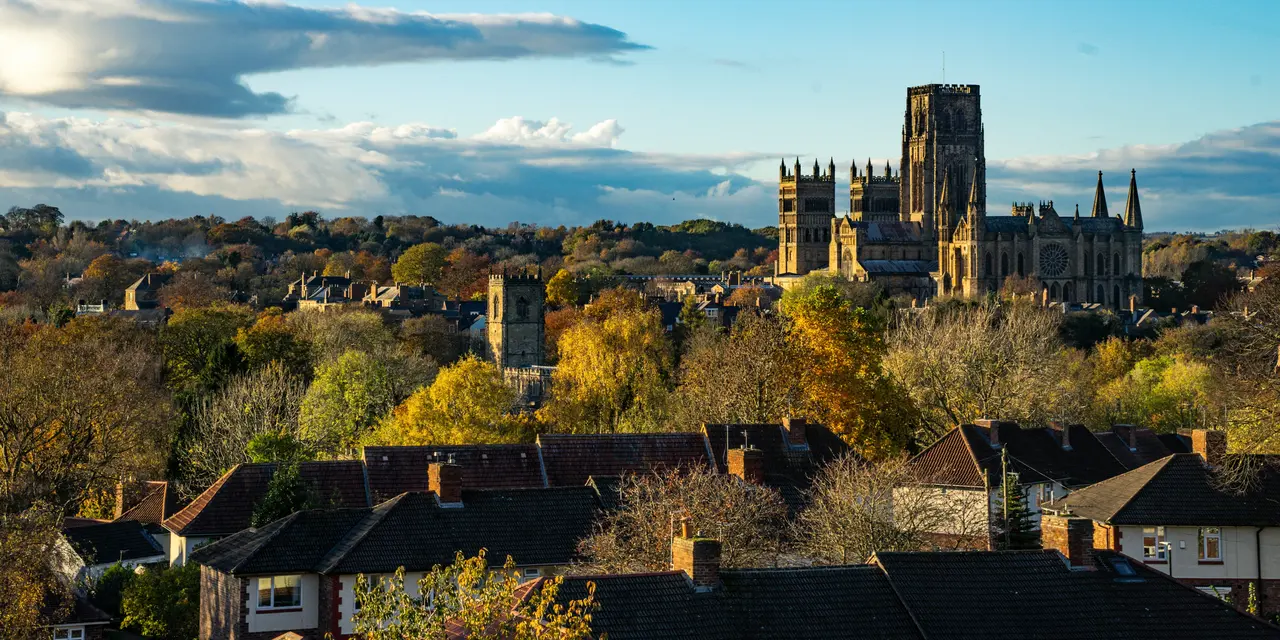 How Covert Surveillance is Combating Environmental Crime in 2026